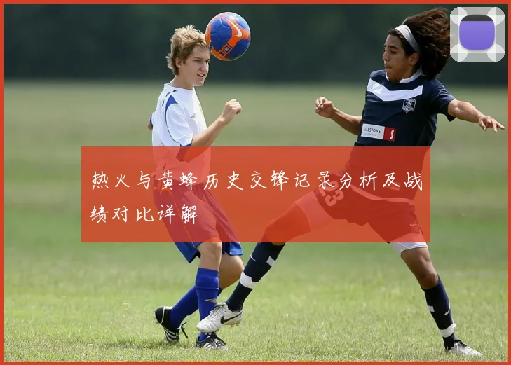 热火与黄蜂历史交锋记录分析及战绩对比详解