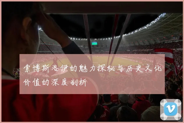 索博斯洛伊的魅力探秘与历史文化价值的深度剖析